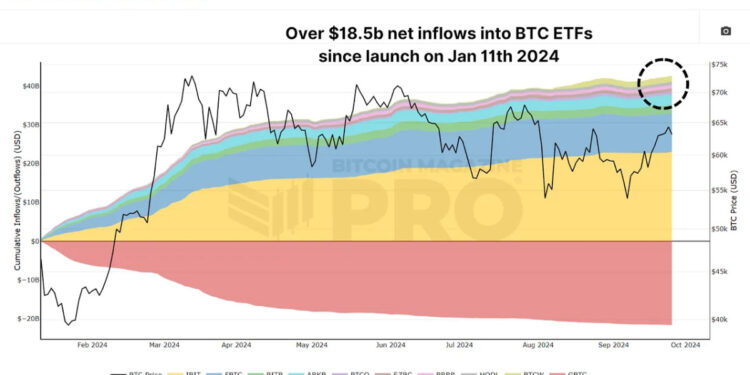 Maximizing Bitcoin Gains with ETF Data