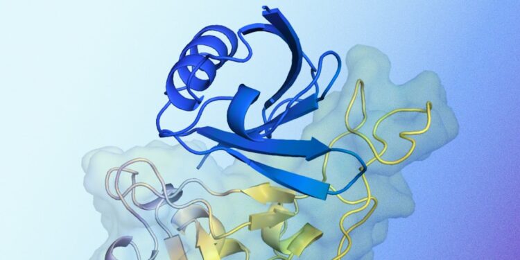 AlphaProteo generates novel proteins for biology and health research