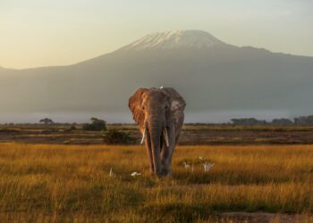 The 10 best places to visit in November 2024