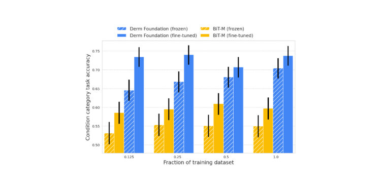 Health-specific embedding tools for dermatology and pathology