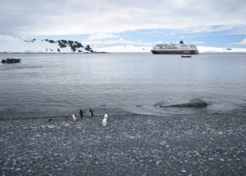 Top Places To Visit To See Penguins In Their Natural Habitat