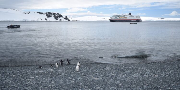 Top Places To Visit To See Penguins In Their Natural Habitat