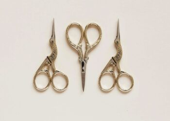 Making sense of the Bank of Canada interest rate decision on September 4, 2024