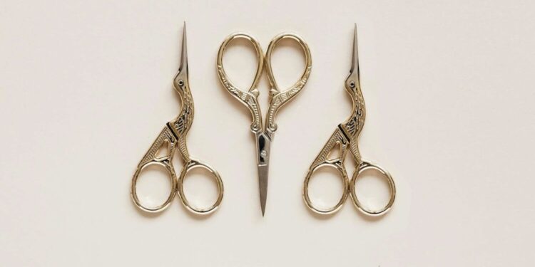 Making sense of the Bank of Canada interest rate decision on September 4, 2024