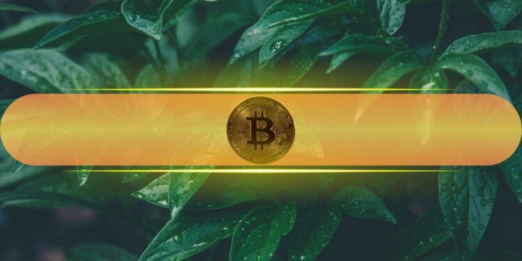 This Has to Happen for Bitcoin to Soar Past $58K: Santiment