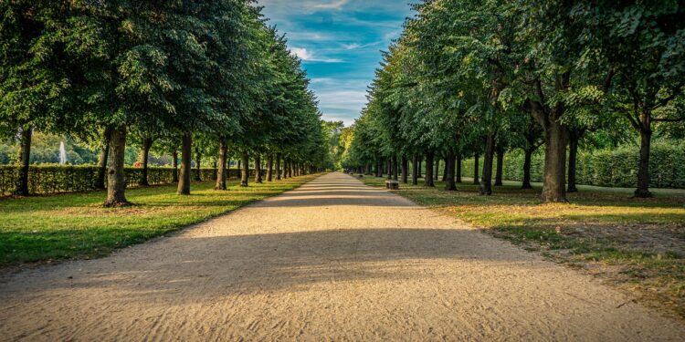 Direct Indexing: Growing Investment Strategy Among The Wealthy