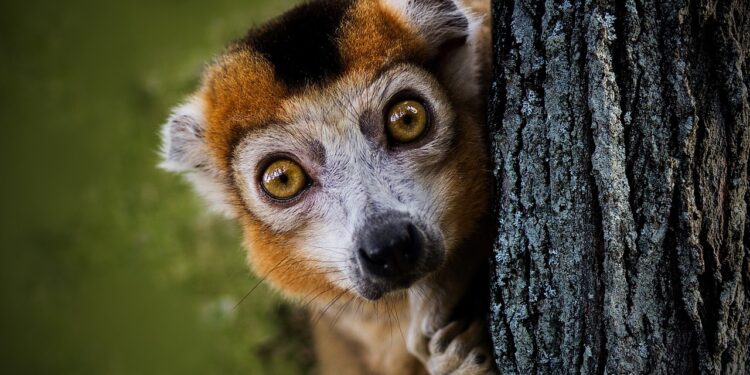 The Curious Inability To Spend Money On Yourself