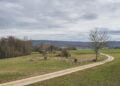 The Startup Magazine 5 Tips for Starting a Pediatric Orthodontic Practice in a Rural Area