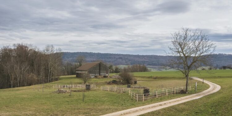 The Startup Magazine 5 Tips for Starting a Pediatric Orthodontic Practice in a Rural Area