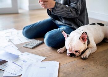 Financial Peace University vs. True Financial Freedom vs. Crown Financial MoneyLife