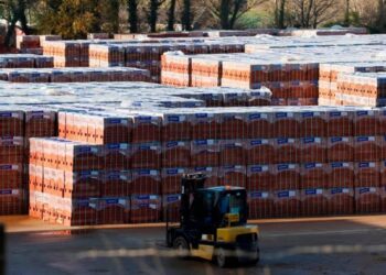 BlackRock bets on British brickmaking