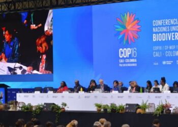 Five takeaways on the state of biodiversity finance