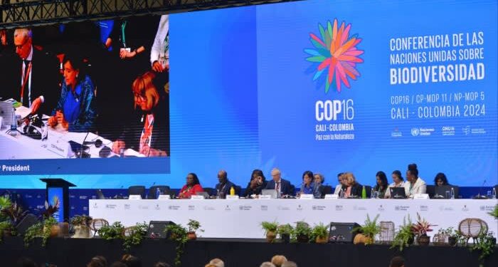 Five takeaways on the state of biodiversity finance