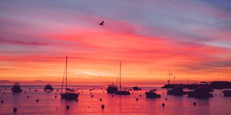 Catalina Island, California – I chickened out; But somehow got rewarded