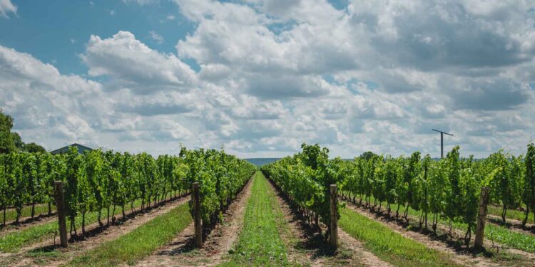 The Ultimate Guide To Prince Edward County, Ontario