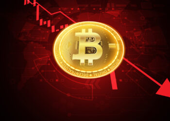 Bitcoin And Ethereum Addresses Shrink In 2024