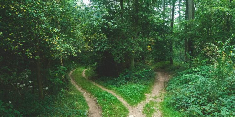 When Simplicity Outperforms Complexity: Knowing When to Use Machine Learning | by Amit Batra | Nov, 2024