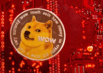 Meme coins’ unlikely rally turns gags into riches