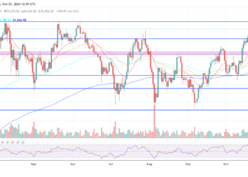 How To Trade Bitcoin During The US Election, Expert Reveals