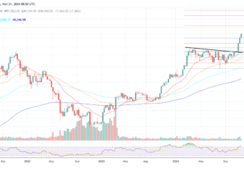 Key Reasons Behind The Rally
