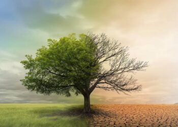 Can We Trust the Warnings?