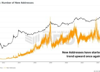 Are Retail Investors Behind The Bitcoin Price Surge This Bull Run?