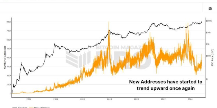 Are Retail Investors Behind The Bitcoin Price Surge This Bull Run?