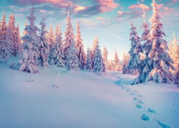 24 Best Winter Side Hustles To Boost Your Income