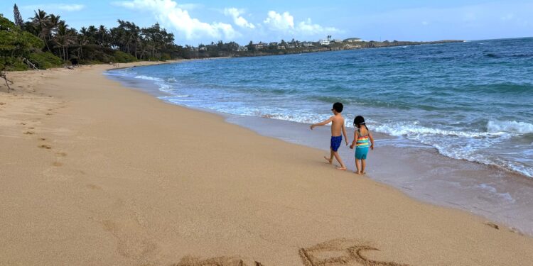 2024 Year In Review: A Year Of Transition And Luck