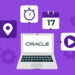 6 Top Oracle PPM Software, Apps & Tool