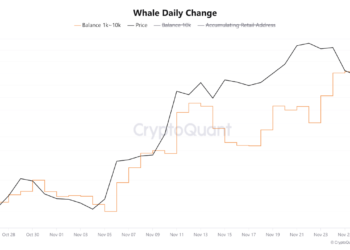 Bitcoin Whale Accumulation Spikes amid BTC Price Dip to $91,000