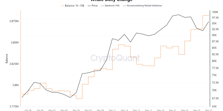 Bitcoin Whale Accumulation Spikes amid BTC Price Dip to $91,000