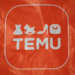 Temu’s U.S. Seller Program Is a DTC Opportunity