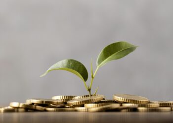 7 Steps to Set Up Your Business for Financial Success in 2025