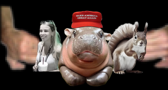 Memecoins will go away once we stop paying attention to them