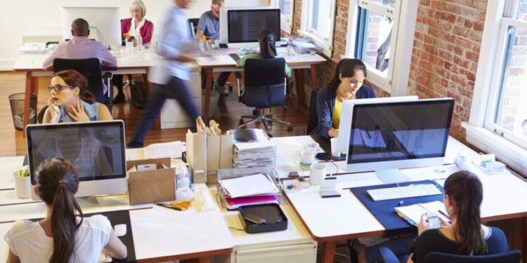 Startup to Success: A Serial Entrepreneur on How to Build and Scale Your Business