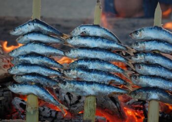 Got Downgraded To Economy Class And It Felt Fantastic