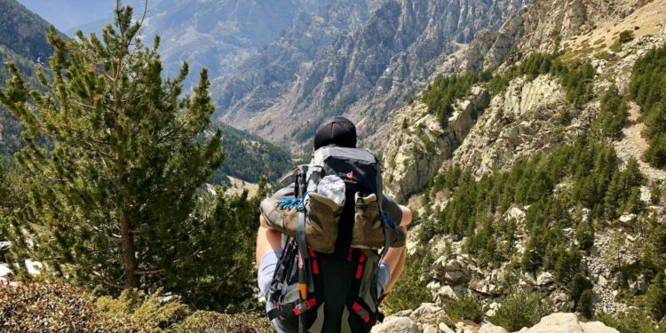 What is Travel Insurance? – TravelFreak