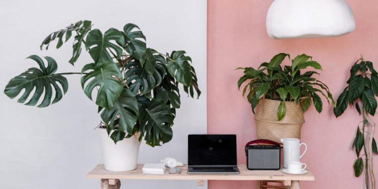 How I Make $7,500 Monthly Selling Print-On-Demand Gifts