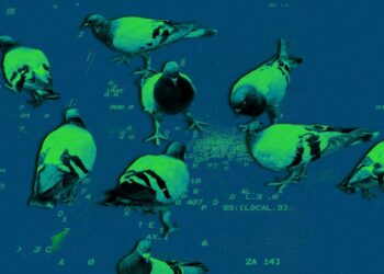 The second wave of AI coding is here