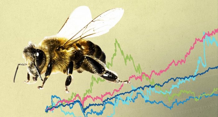 On the hunt for the UK’s ‘worker bee’ stocks