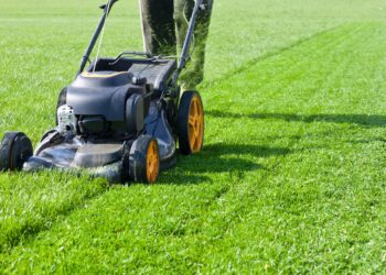 19 Best Jobs for 15 Year Olds To Make Money