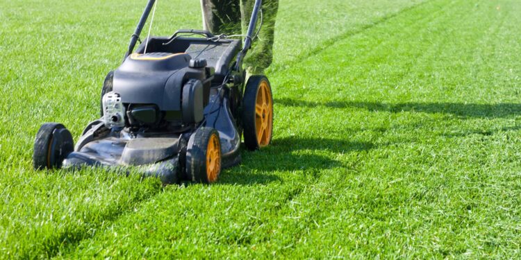 19 Best Jobs for 15 Year Olds To Make Money