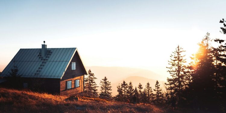 How the Universe Forced Me to Follow My True Purpose