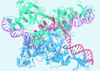 A glimpse of the next generation of AlphaFold