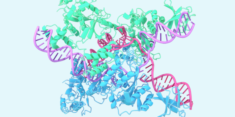 A glimpse of the next generation of AlphaFold