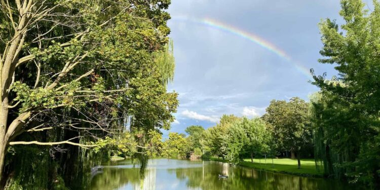 My Big Updates from a Year of Change