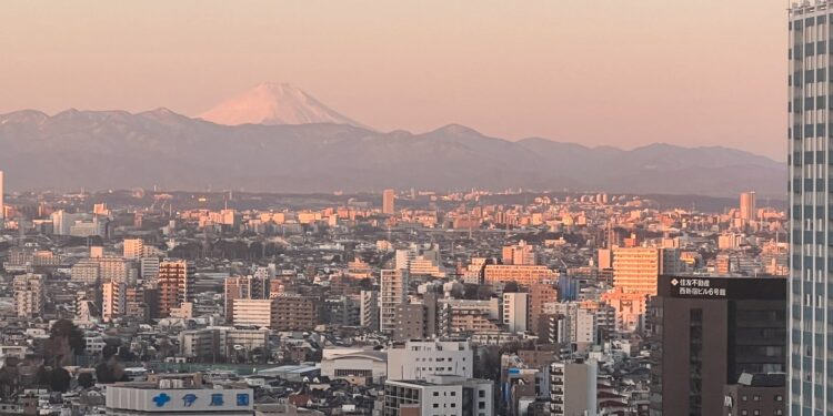 Tokyo Narita vs. Haneda: Which airport should I fly into?