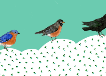 A Patreon, a New Newsletter, and a Site Redesign