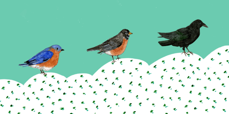 A Patreon, a New Newsletter, and a Site Redesign